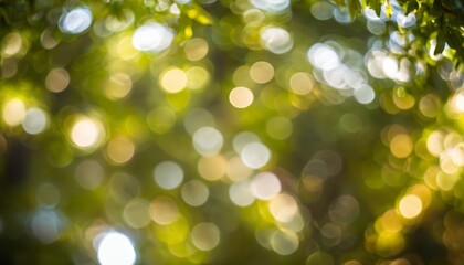 Obraz premium Bright and Beautiful A Blurry Blossoms Bliss