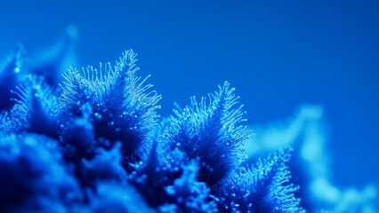  Vibrant blue coral under the sea