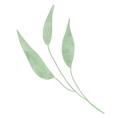 
Green leaves watercolor isolated on white background
