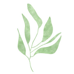 
Green leaves watercolor isolated on white background
