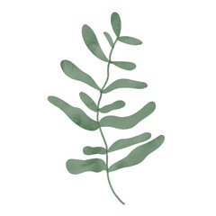 
Green leaves watercolor isolated on white background
