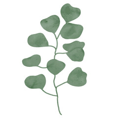 
Green leaves watercolor isolated on white background
