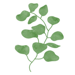 
Green leaves watercolor isolated on white background
