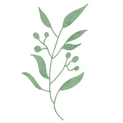 
Green leaves watercolor isolated on white background
