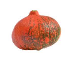 Orange pumpkin with green spots, isolated