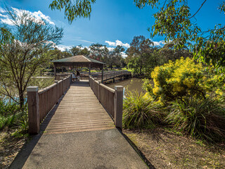 Ringwood Lake Bridge With Golden Wattle