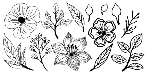 vector hand-drawn line art flower and leaf