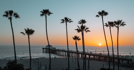 Palm trees and Pier on Manhattan Beach at sunset in California, Los Angeles, USA.