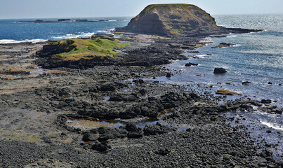 The Nobbies outcrops at Phillip Island -Victoria.