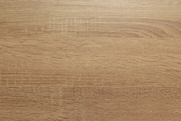 Close-Up of Light Wooden Surface with Natural Grain Patterns