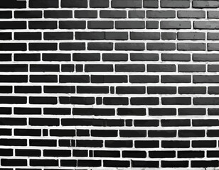 Black and white brick wall