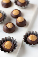 Smooth and Creamy Buckeye Chocolate and Peanut Butter Candies / Chocolates on White Background