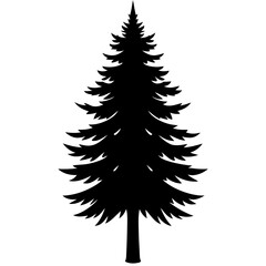 Silhouette of a pine tree Douglas spruce vector illustration design