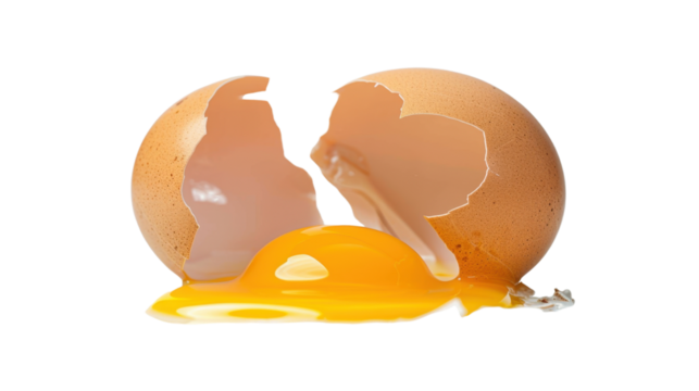 Broken egg on transparent background