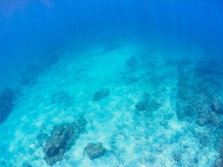 透明度の良い美しい白い砂地の水底。

日本国静岡県伊豆半島賀茂郡南伊豆町中木から渡し船で渡るヒリゾ浜-2024年7月
