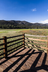 big bear lake dry summer