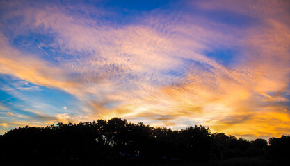 colorful dramatic  silhouette at sunset time