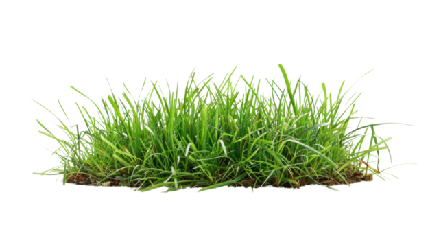 Untitled design - 38