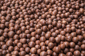 Raw of Macadamia integrifolia for background