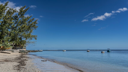 A serene seascape. Boats on calm blue water. Dry algae on a sandy beach. A gazebo with a thatched roof in the shade of spreading trees. Clouds in the azure sky. Mauritius.