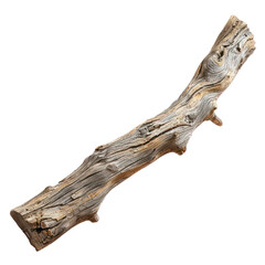 Fototapeta premium Beautiful driftwood and trees branch tree, dry wood, bare tree, twig. Close up Various textured pieces isolated on background