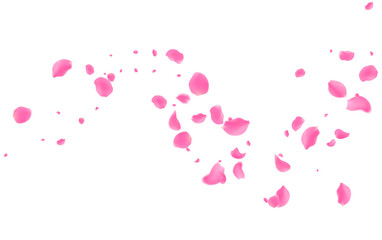Rose petals or sakura flying petals, romantic background with realistic pink cherry flower petals flow or falling motion. Love, romance, floral spring season