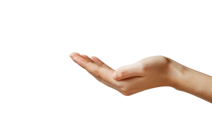 Hand holding on transparent background 