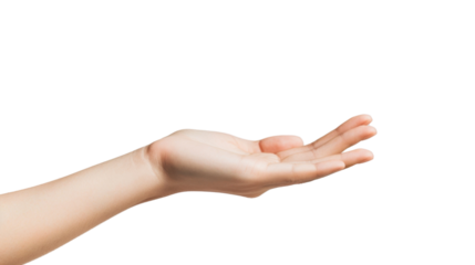 Hand holding on transparent background 