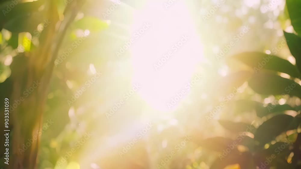 Aufkleber sunlight filters through dense tropical tree leaves, creating a pattern of light and shadows, sunlig