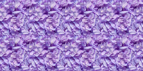 Fototapeta premium a densely packed pattern background of lavender petals completely covering the surface