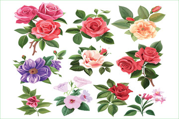 Watercolor Rose Flowers set. Set of watercolor flower elements: different flower heads of roses, buds, leaves and white flowers Watercolor for Valentine day, wedding, save date card. 