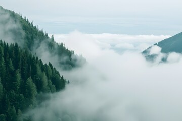 Obraz premium Serene mountain landscape enveloped in misty clouds.