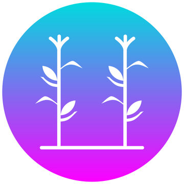 recommend clip art: Cornstalks vector icon. Can be used for Festa Junina iconset.