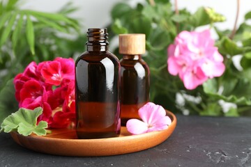 Bottles of geranium essential oil and beautiful flowers on black table, closeup