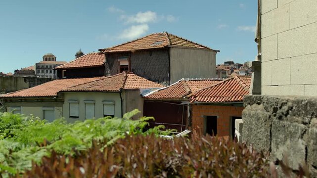 Pulling in the focus on some plants in the foreground of some old buildings.