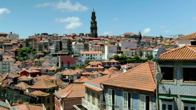 Some branches with leaves waving in front of the lense, with the cityscape of Portu and a church tower in the background.
