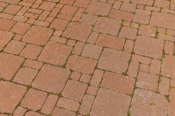 Texture and detail of a brick footpath