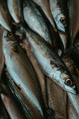 in Funchal in Madeira, Portugal 