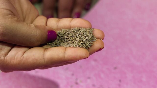 Black Cumin seeds are kept on a tray.