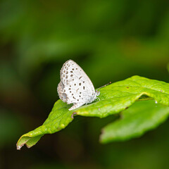 天候が優れない７月