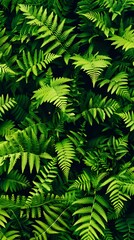 Perfect natural fern pattern, beautiful background made with young green fern leaves. 