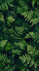 Obraz premium Perfect natural fern pattern, beautiful background made with young green fern leaves. 