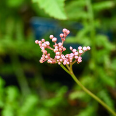 天候が優れない７月