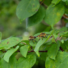 天候が優れない７月