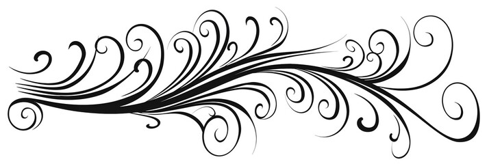 Fototapeta premium Decorative Curly Black Scroll with Minimalistic Swirls
