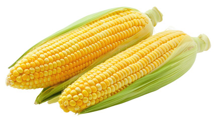 Corn on transparent background