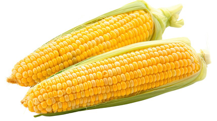 Corn on transparent background