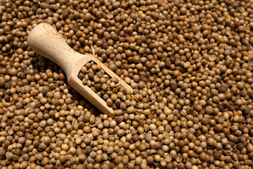 Organic food, spice coriander seeds