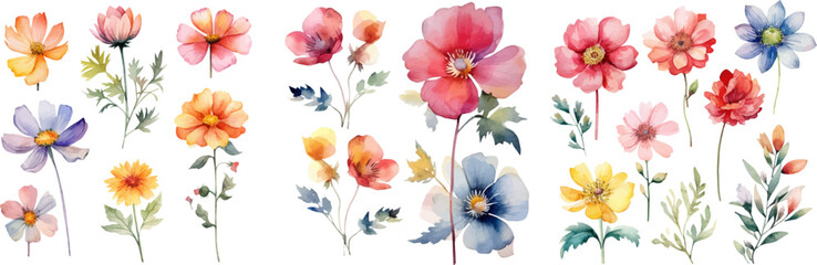 Fototapeta premium Watercolor floral package collection. Use by fabric, fashion, wedding invitation, template, poster, romance, greeting, spring, bouquet, pattern, decoration and textile. 