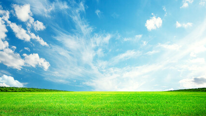 Summer landscape with green field and sky